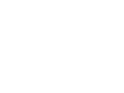 beatrijs springveld